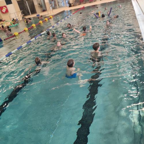 Schwimmen 4