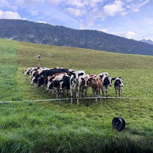 Wandern 1